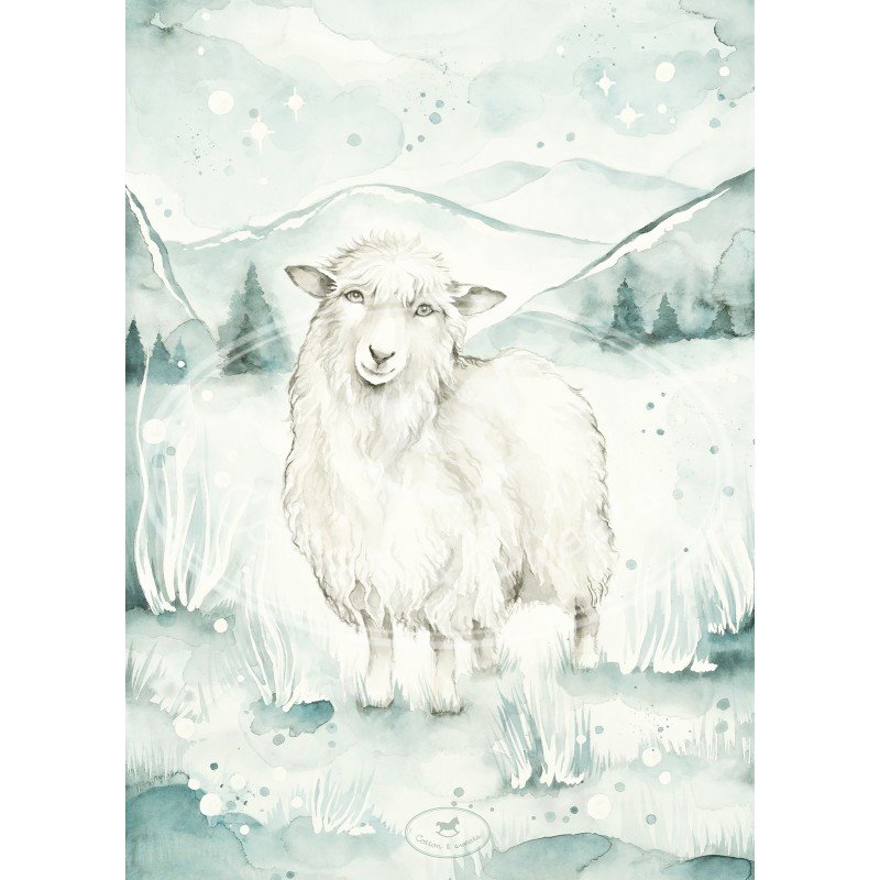 Levně Plakát - Lovely sheep