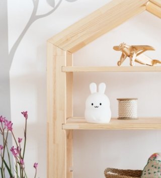 Poličky, věšáky /  detska-domcekova-kniznica-adeko-rgm-40x60-cm-lovel-03.jpg 