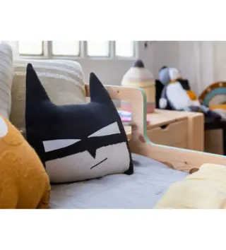 Polštáře /  eb65750ee6f36c1995e723a8c76305c732a392bd-1000x1000.webp 