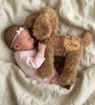 eng_pl_Melootka-Personalized-Poodle-Plush-Toy-35cm-with-name-357_6.webp
