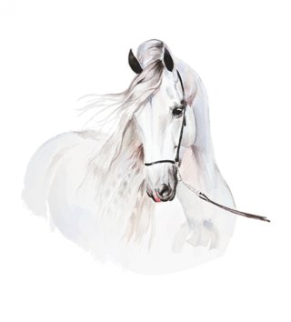 Zvířata /  nalepka-na-stenu-animals-kon-dk246-lovel-02.jpg 