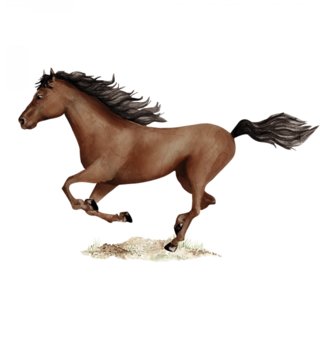 Zvířata /  nalepka-na-stenu-animals-kon-dk378-lovel-02.jpg 