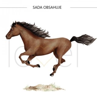 Zvířata /  nalepka-na-stenu-animals-kon-dk378-lovel-03.jpg 