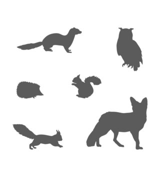 Zvířata /  nalepka-na-stenu-animals-lasica-sova-jezko-vevericky-a-liska-z068-lovel-02.jpg 