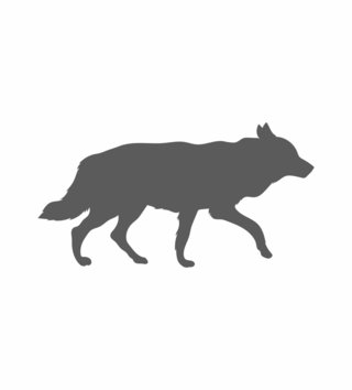 Forest - Lesní motiv /  nalepka-na-stenu-animals-vlk-z071-lovel-02(1).jpg 