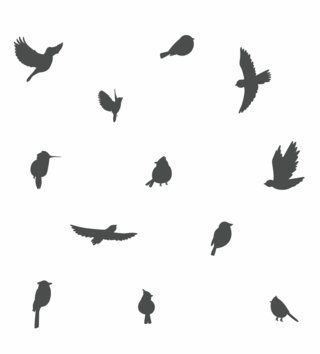 Zvířata /  nalepka-na-stenu-animals-vtaciky-24-ks-z076-lovel-04.jpg 