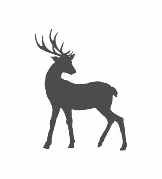 Forest - Lesní motiv /  nalepka-na-stenu-deer-jelen-z074-lovel-02(1).jpg 