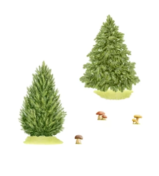 Forest - Lesní motiv /  nalepka-na-stenu-do-detskej-izby-forest-stromceky-2-ks-dk476-lovel-02.webp 