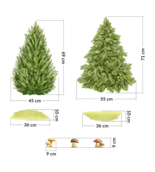 Forest - Lesní motiv /  nalepka-na-stenu-do-detskej-izby-forest-stromceky-2-ks-dk476-lovel-03.webp 