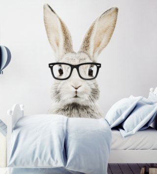 Zvířata /  nalepka-na-stenu-zajko-stefan-dk224-lovel-01.jpg 