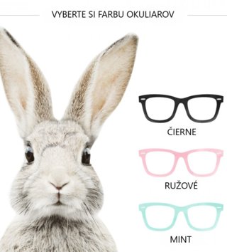 Zvířata /  nalepka-na-stenu-zajko-stefan-dk224-lovel-03.jpg 