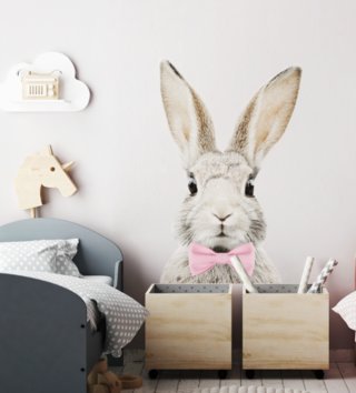 Zvířata /  nalepka-na-stenu-zajko-stefan-dk225-lovel-01.jpg 