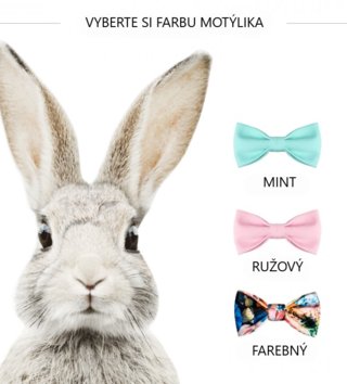 Zvířata /  nalepka-na-stenu-zajko-stefan-dk225-lovel-03.jpg 