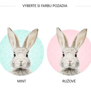 Zvířata /  nalepka-na-stenu-zajko-stefan-dk226-lovel-02.jpg 