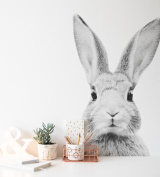 Zvířata /  nalepka-na-stenu-zajko-stefan-dk350-lovel.jpg 