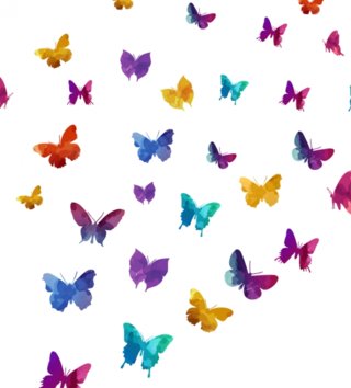 Zvířata /  nalepky-na-stenu-animals-motyle-44ks-dk207-lovel-02.jpg 