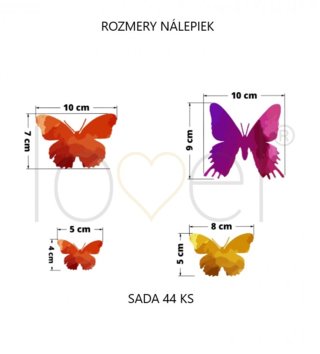 Zvířata /  nalepky-na-stenu-animals-motyle-44ks-dk207-lovel-03.jpg 