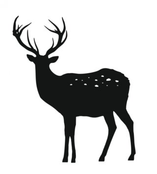Forest - Lesní motiv /  nalepky-na-stenu-deer-jelen-lovel-sk1.jpg 