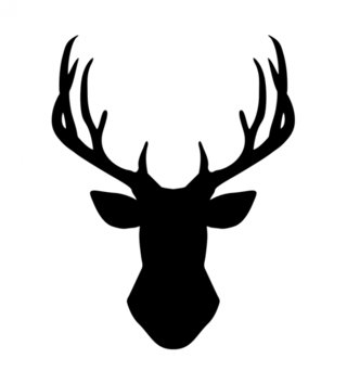 Forest - Lesní motiv /  nalepky-na-stenu-deer-jelen-z054-lovel-sk1.jpg 