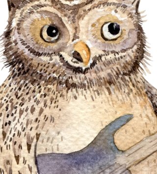 Forest - Lesní motiv /  nalepky-na-stenu-forest-lesna-kapela-yoko-lovel-sk5.jpg 