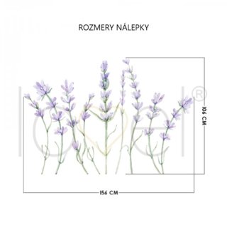 Příroda, květiny, stromy /  nalepky-na-stenu-nature-levandule-dk387-lovel-03.jpg 