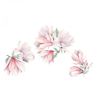 Příroda, květiny, stromy /  nalepky-na-stenu-nature-magnolie-dk385-lovel-02.jpg 