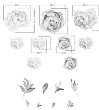 Příroda, květiny, stromy /  nalepky-na-stenu-nature-pivonky-broskynova-yokodesign-lovel-sk3.jpg 