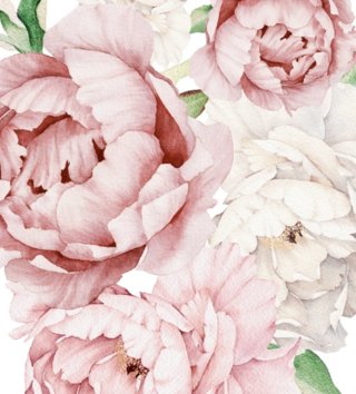 Příroda, květiny, stromy /  Samolepka na zeď Nature - pivoňky 9 ks DK280 - růžové 