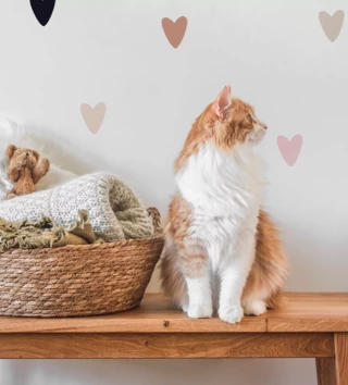 Pastelová kolekce /  nalepky-na-stenu-pastel-srdiecka-dk486-lovel-02.webp 