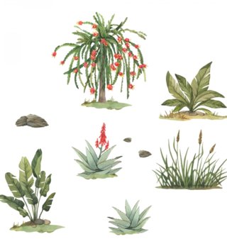 Safari /  nalepky-na-stenu-safari-rastliny-dk426-lovel-02.jpg 