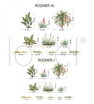 Safari /  nalepky-na-stenu-safari-rastliny-dk426-lovel-03.jpg 