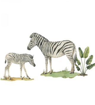 Safari /  nalepky-na-stenu-safari-zebry-dk430-lovel-02.jpg 