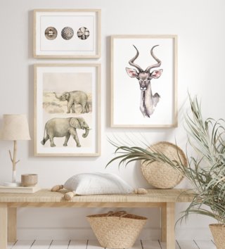 Plakáty /  plagat-safari-antilopa-p335-lovel-01.jpg 