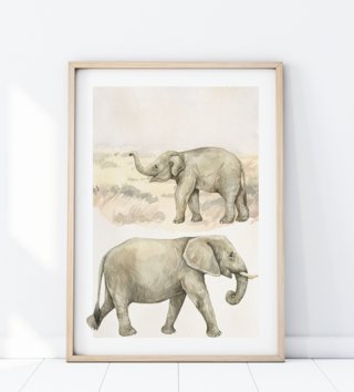Plakáty /  plagat-safari-slony-p343-lovel.jpg 