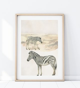 plagat-safari-zebry-p344-lovel.jpg