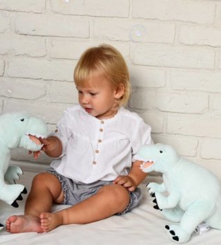 Plyšové hračky /  plysova-hracka-dino-mint-l-lovel-04.jpg 