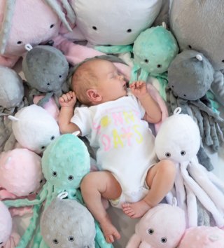 Plyšové hračky /  roztomila-plysova-chobotnica-s-hrkalkou-31cm-antracitova-lovel-05.jpg 