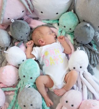 Plyšové hračky /  roztomila-plysova-chobotnica-s-hrkalkou-31cm-seda-lovel-02.jpg 